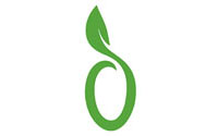 cyprus_olive17.jpg